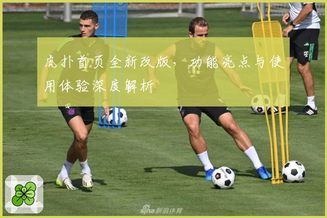 虎扑首页全新改版，功能亮点与使用体验深度解析