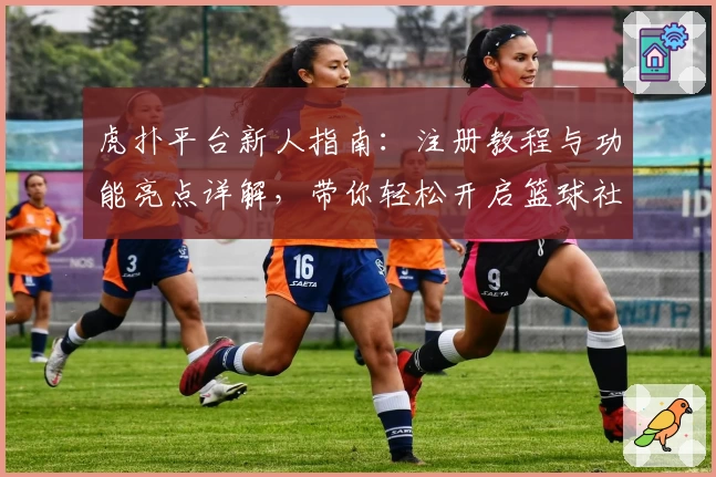 虎扑平台新人指南：注册教程与功能亮点详解，带你轻松开启篮球社区畅聊之旅