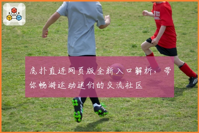 虎扑直连网页版全新入口解析，带你畅游运动迷们的交流社区