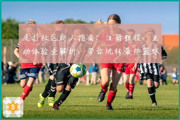 虎扑社区新人指南:注册教程、互动体验全解析,带你玩转最热篮球论坛