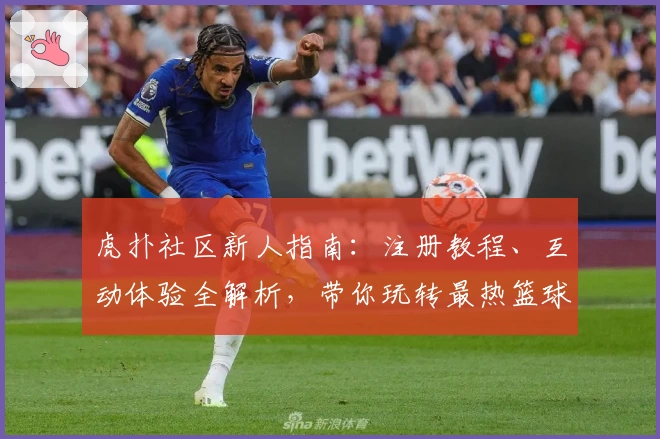 虎扑社区新人指南：注册教程、互动体验全解析，带你玩转最热篮球论坛